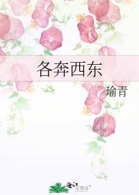 省十四届人大二次会议明日开幕 省政协十三届二次会议今日开幕